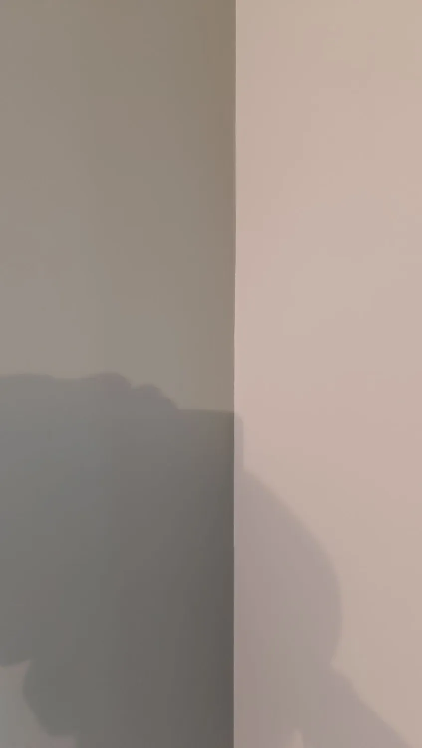 artisan peintre interieur montreuil sous perouse