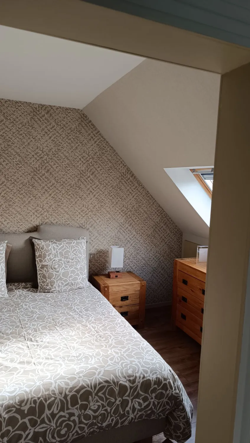 enduit decoratif taillis