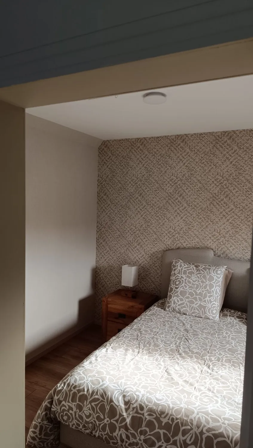 peintre en batiment taillis