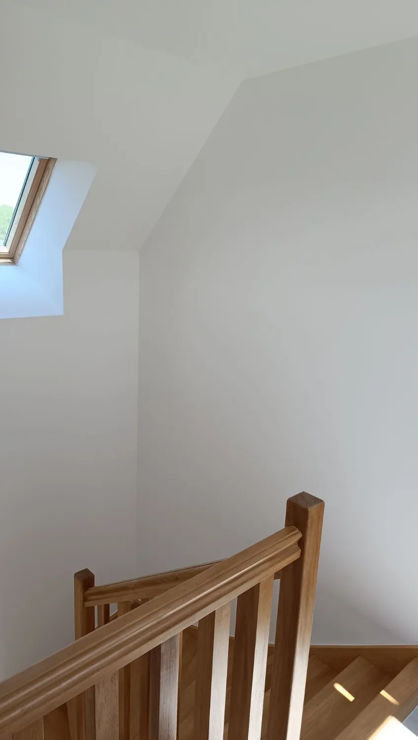 peintre en batiment taillis